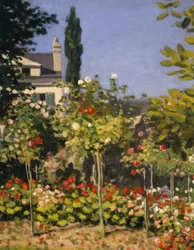 Jardin en fleurs